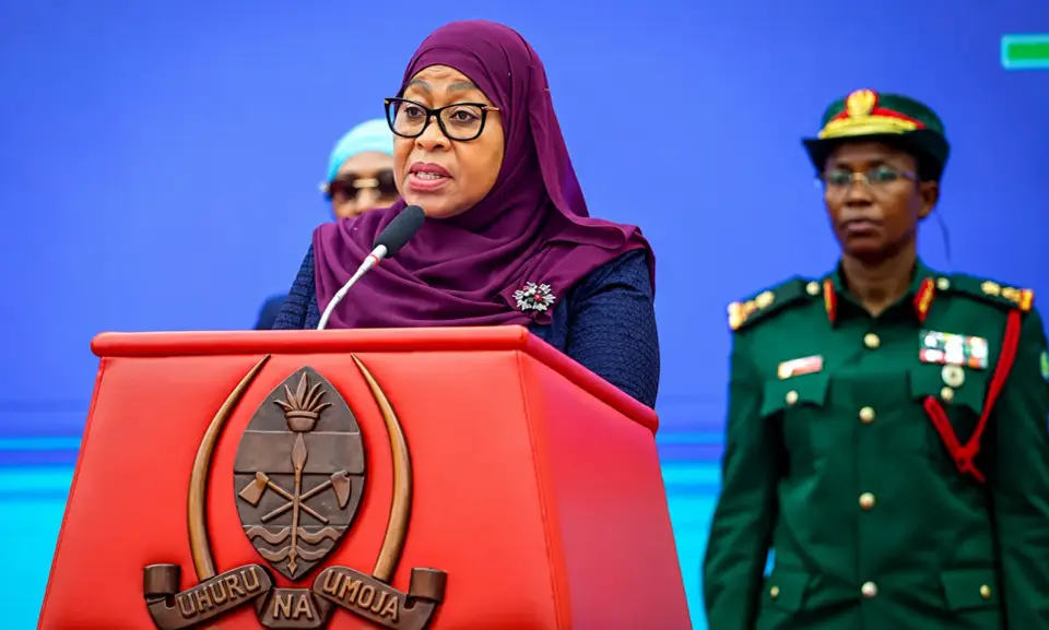 Tanzania Removes Nigerians From Referred Visa Category, Easing Travel Process