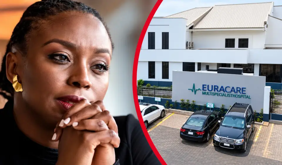 Euracare Challenges Probe Into Death of Chimamanda Adichie’s Son