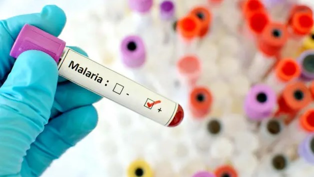 Nigeria's Malaria Fight Reaches Major Milestone as Prevalence Falls to 15%