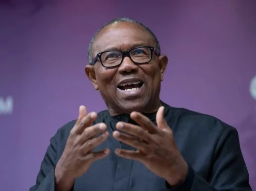 Obi: Nigeria Is Not Officially at War, Yet We Keep Counting Bodies.