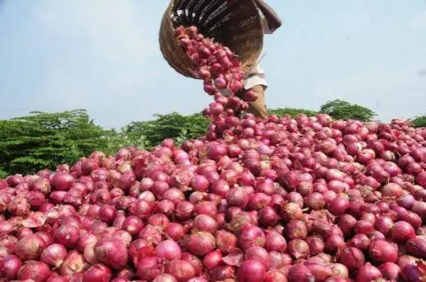 Nigerian Onion Traders Resume Ghana Exports After Trade Dispute Eases