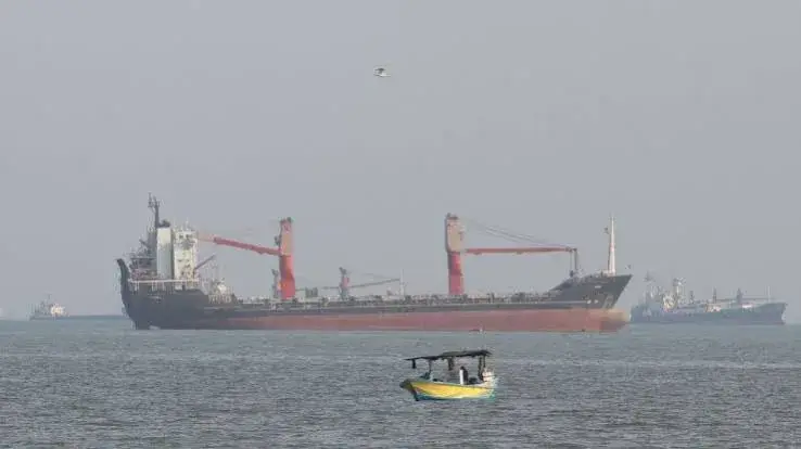 One Ship Sinks, Another Damaged in Latest Strait of Hormuz Attacks