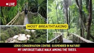 Lekki Conservation Centre: A Must Visit In Lagos Nigeria