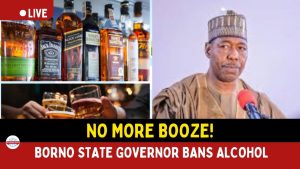 Borno Governor Bans Alcohol, Links Security Personnel to Rising Crime.